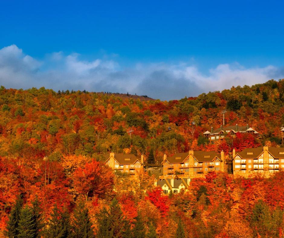Altitude Ski Inout 3 Bdrs W Sauna And Hot Tub Mont-Tremblant Zewnętrze zdjęcie